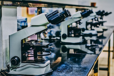 The Role of Testosterone in Building Muscle Mass: Exploring the Science Behind the Connection