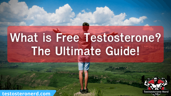 What is Free Testosterone