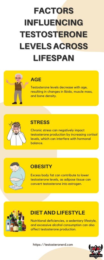Key Testosterone Facts and Statistics Unveiled, a data infograhic about the Factors Influencing Testosterone Levels Across Lifespan